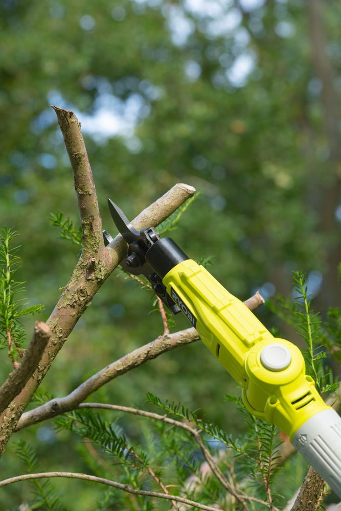 Секатор (сучкорез) RYOBI RY18PLA-0 (без батареи) система ONE +